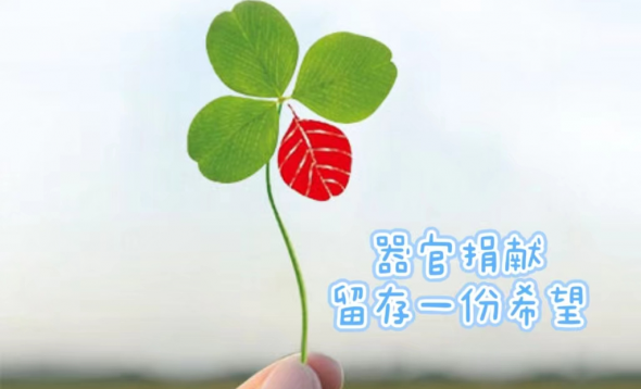 安顺红十字“三献”基金 安顺红十字“三献”基金