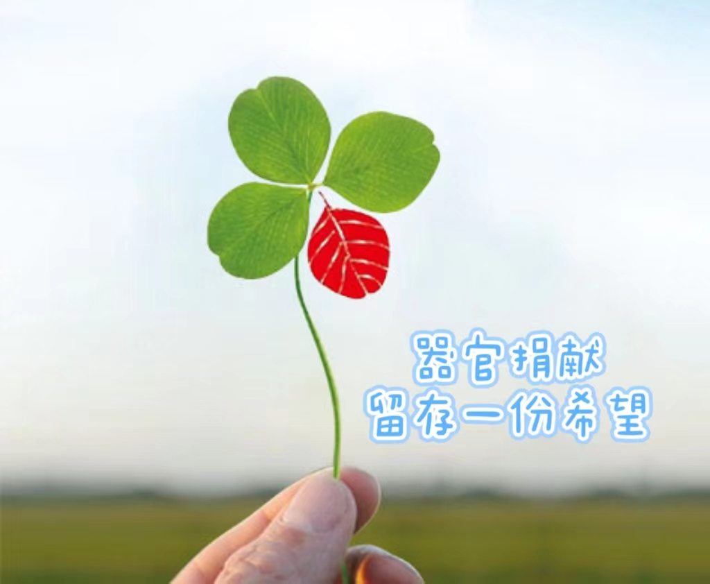 1a6fe570a954ab8cbefbc367e90810bb.png